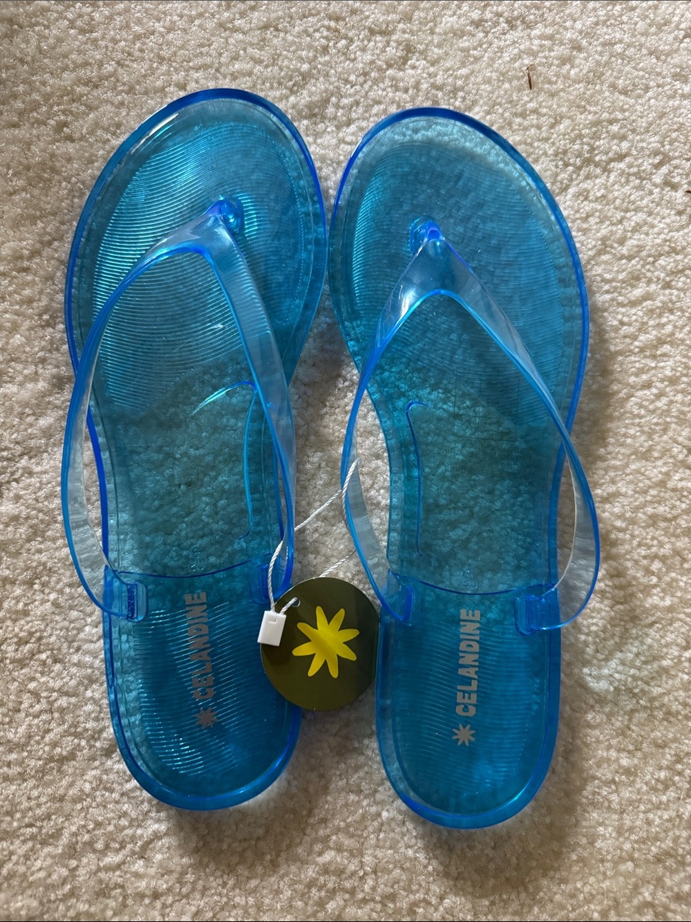 Blue Jelly Flip Flops